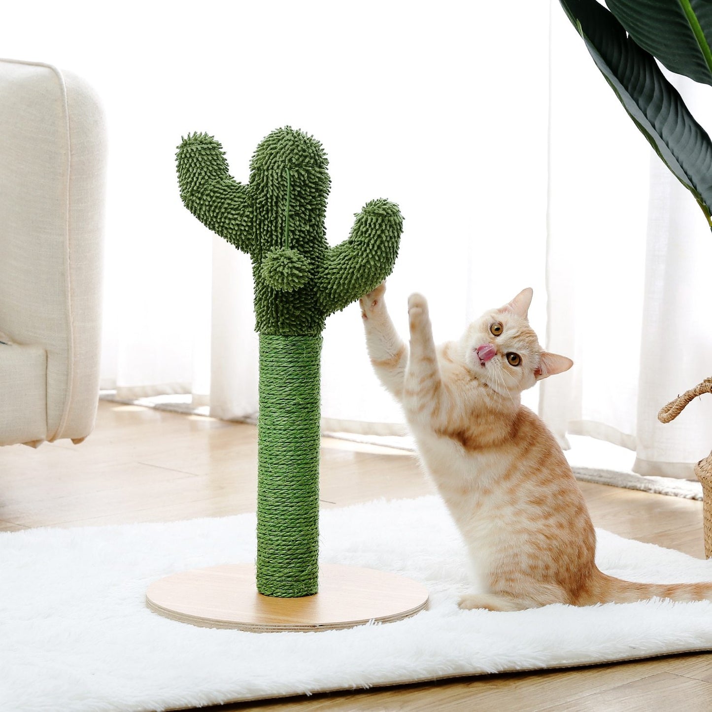 Arbre à chat cactus