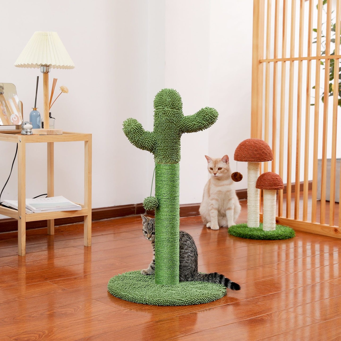 Arbre à chat cactus